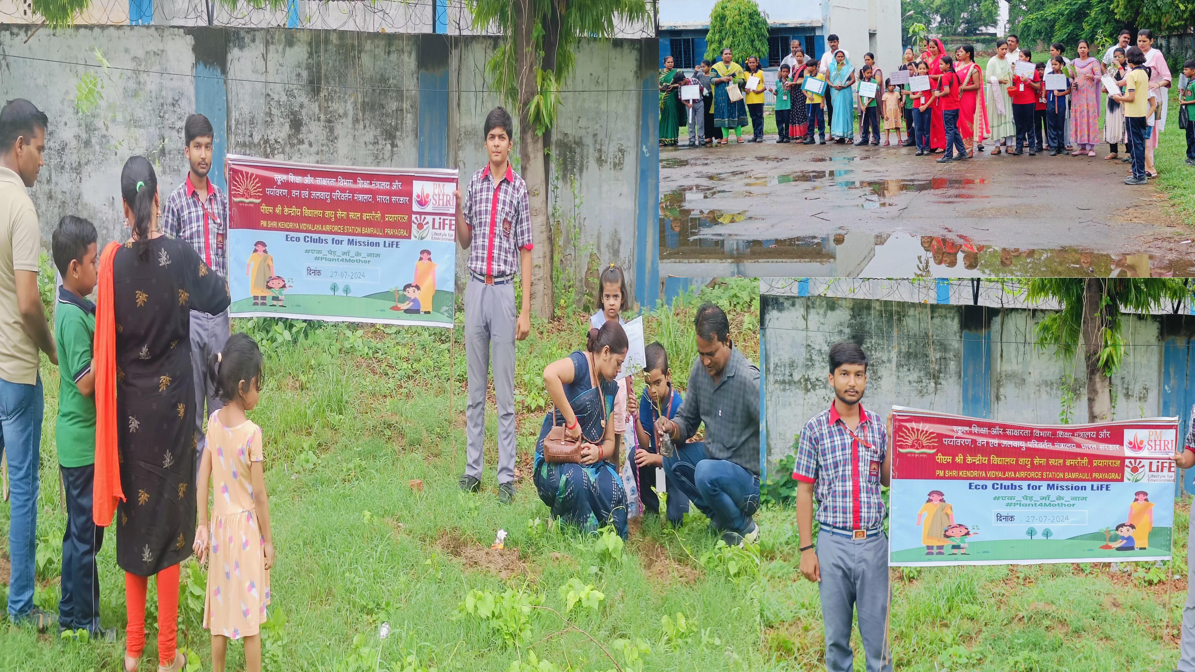 Tree Plantation