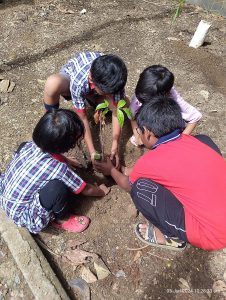 वृक्षारोपण अभियान