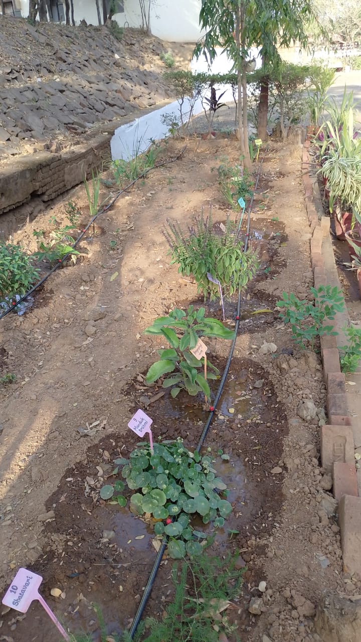 Herbal garden