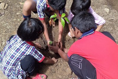 plantation drive