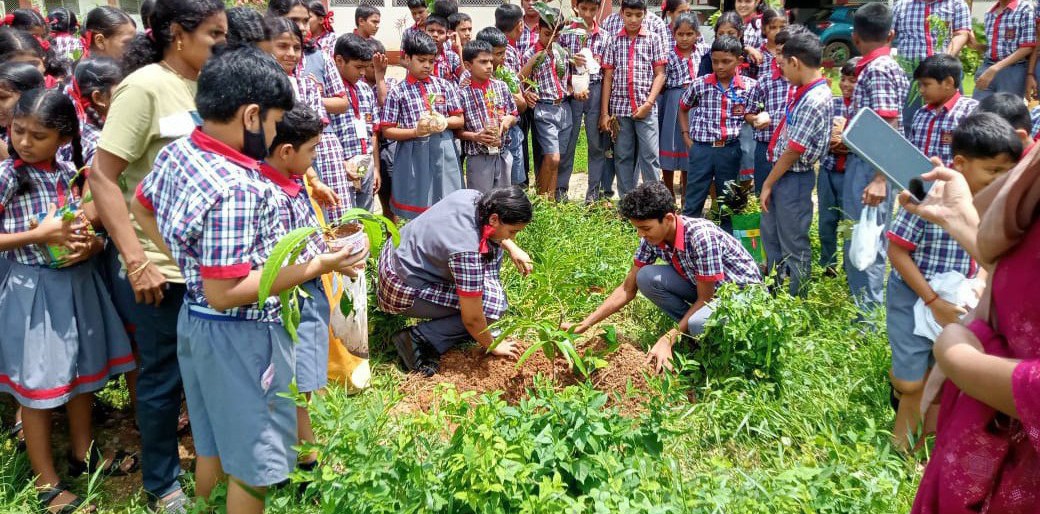 Tree Plantation