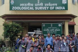 Visit of Zoological Survey of India Itanagar