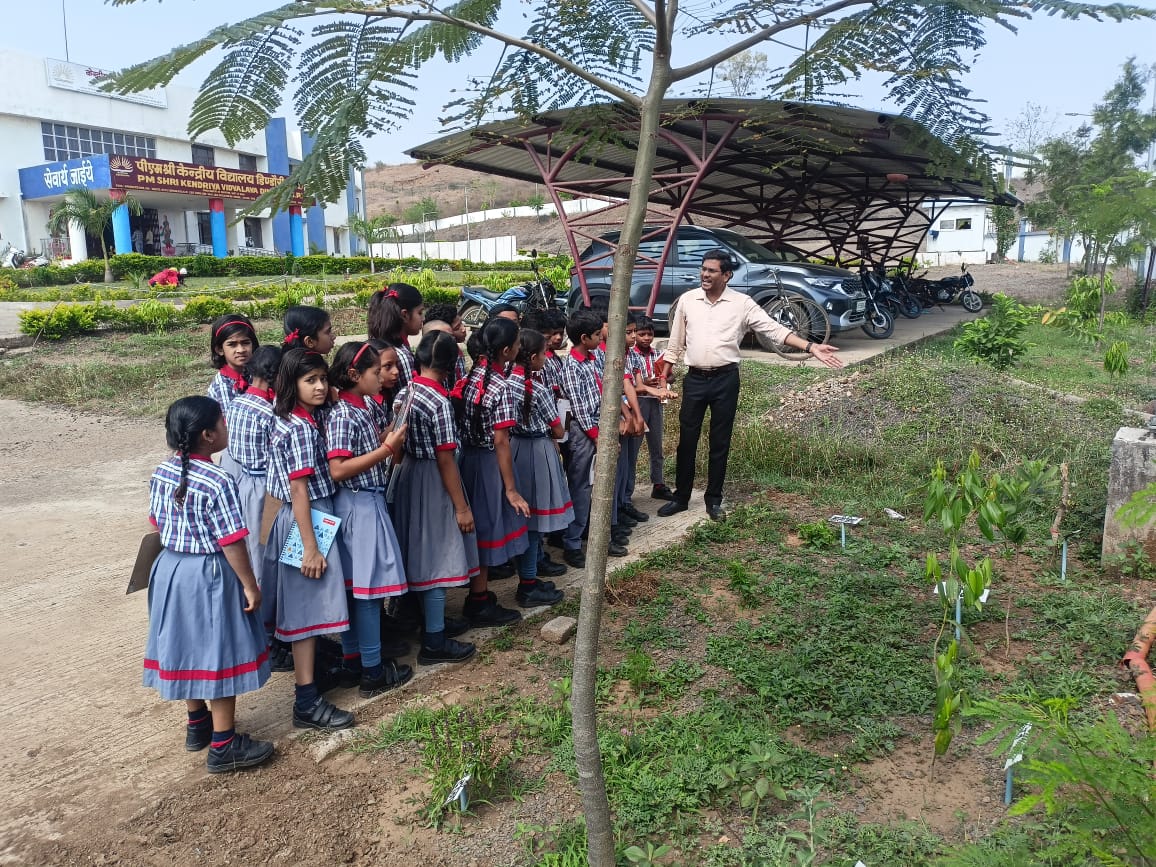 Herbal Garden in School