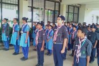 Scout Guide Activity