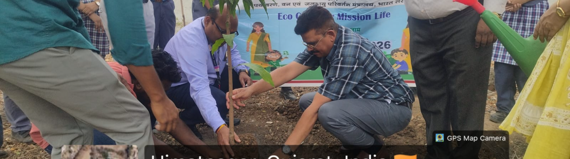 plantation drive