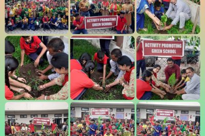 plantation drive