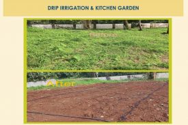 drip irrigation