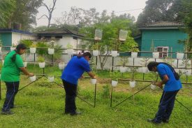 PM SHRI KV AFS CHABUA Drip Irrigation System