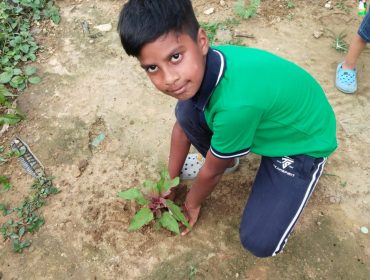 ECO club for Mission Life