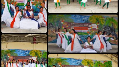 स्वतंत्रता दिवस समारोह