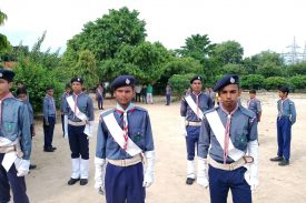 Scout Activity