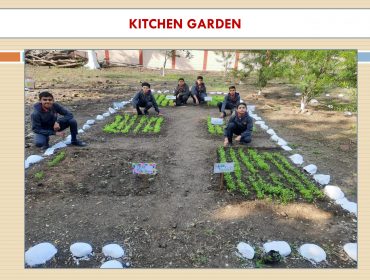 KITCHEN GARDEN IN THE VIDYALAYA