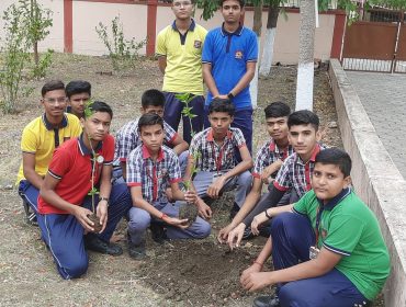 World Environment Day 5 June 2024