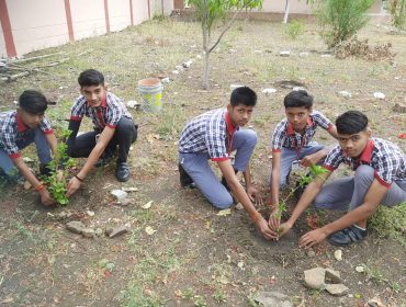 World Environment Day 5 June 2024 2