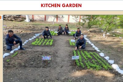 Kitchen Garden