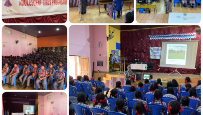 career guidance and counselling collage