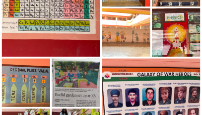 BALA INITIATIVES COLLAGE