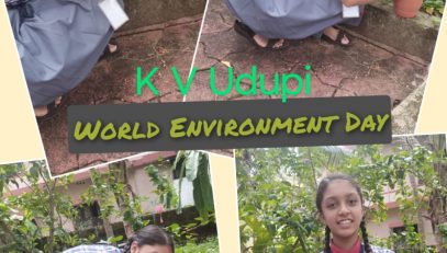 PLANTATION DRIVE PIC