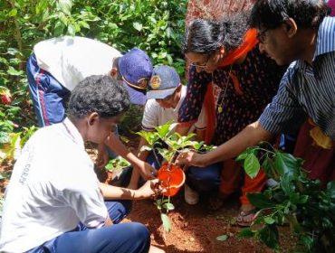 Environment Day Celebration