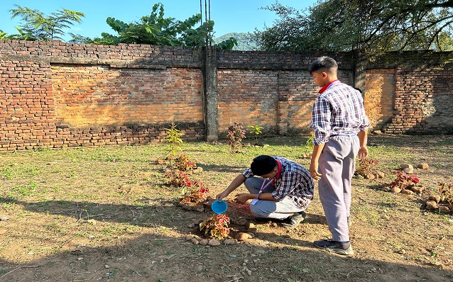 नवप्रवर्तन