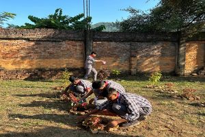 Tree plantation_1