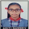 Aditi Namdev