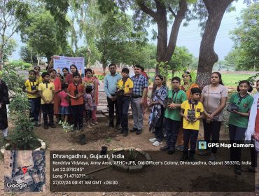 Tree plantation