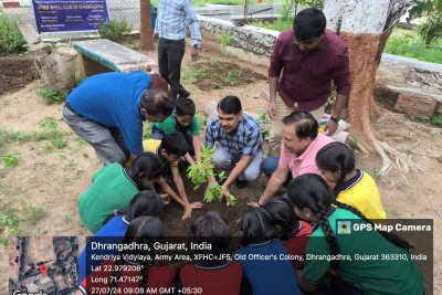 Tree Plantation