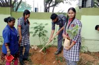 Planting