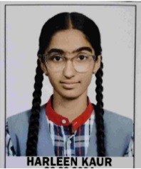 student name
