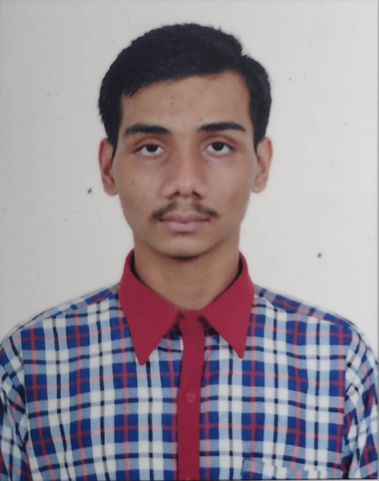 MOHAN SATYANAND  RAUT