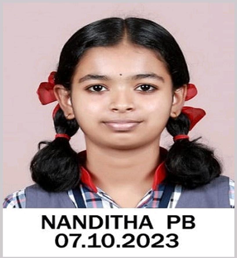 नंदिता पी बी