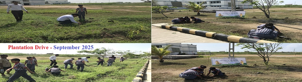 Plantation Drive 2025