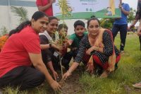 Plantation drive