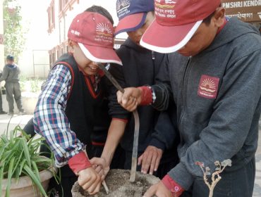 PLANTATION 1