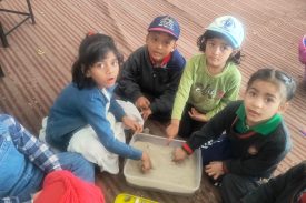 बालवाटिका छात्रों की गतिविधियाँ