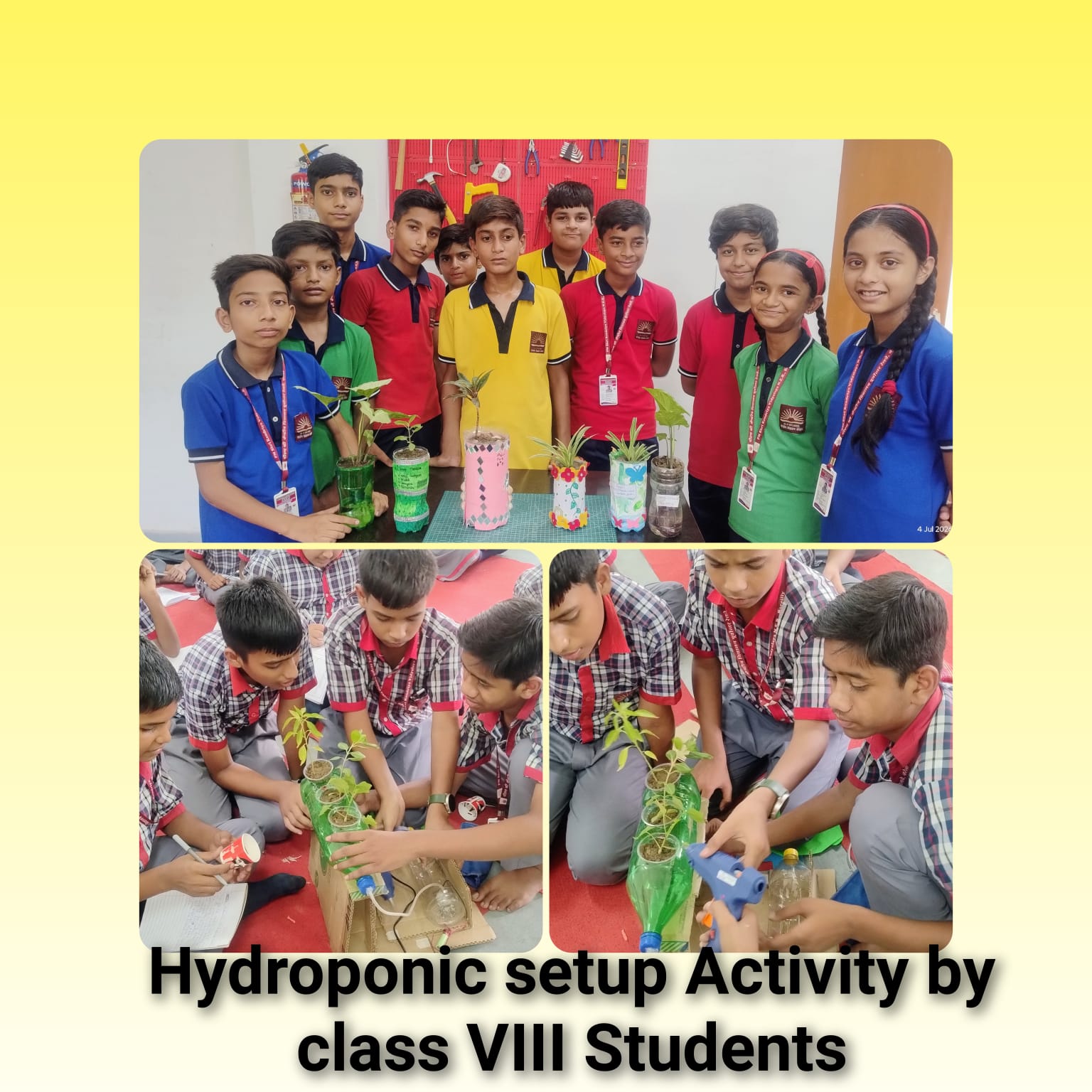 Hydroponic setup Activity by Class VIII