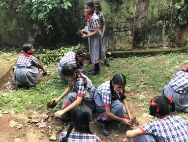 swachh bharat