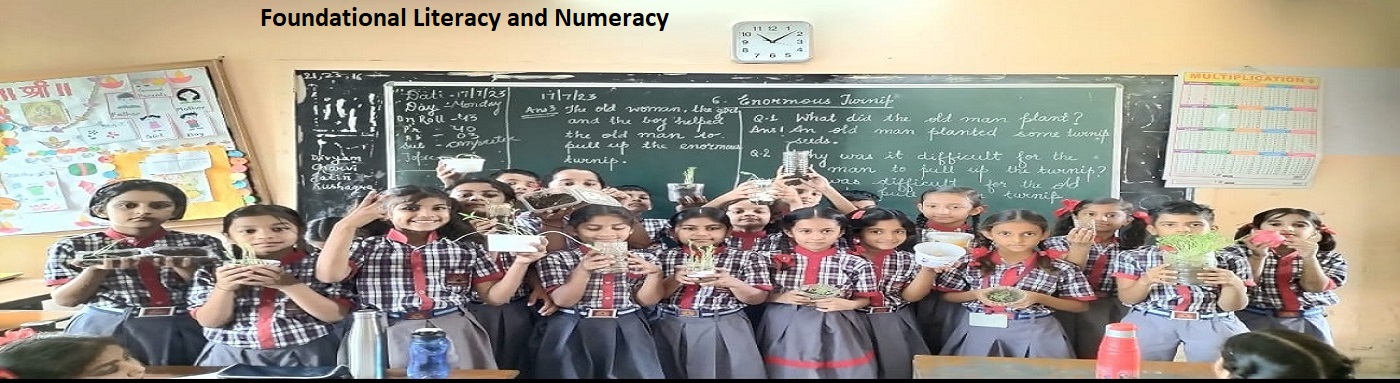 Foundational Literacy and Numeracy