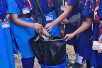 Cleanliness drive at K V kodagu by scouts and guides