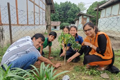 PLANTATION OF TREES