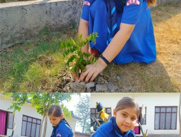 Eco Club Activity