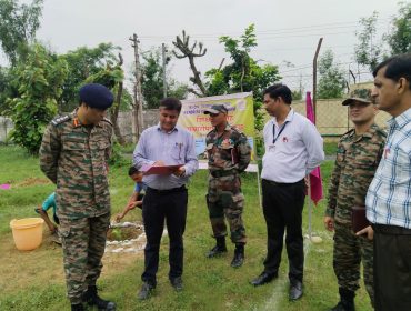 Plantation in Vidyalaya