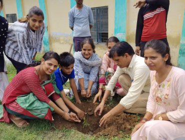 Planting a Sapling