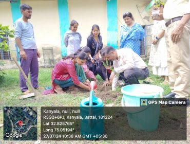 tree planting campaign
