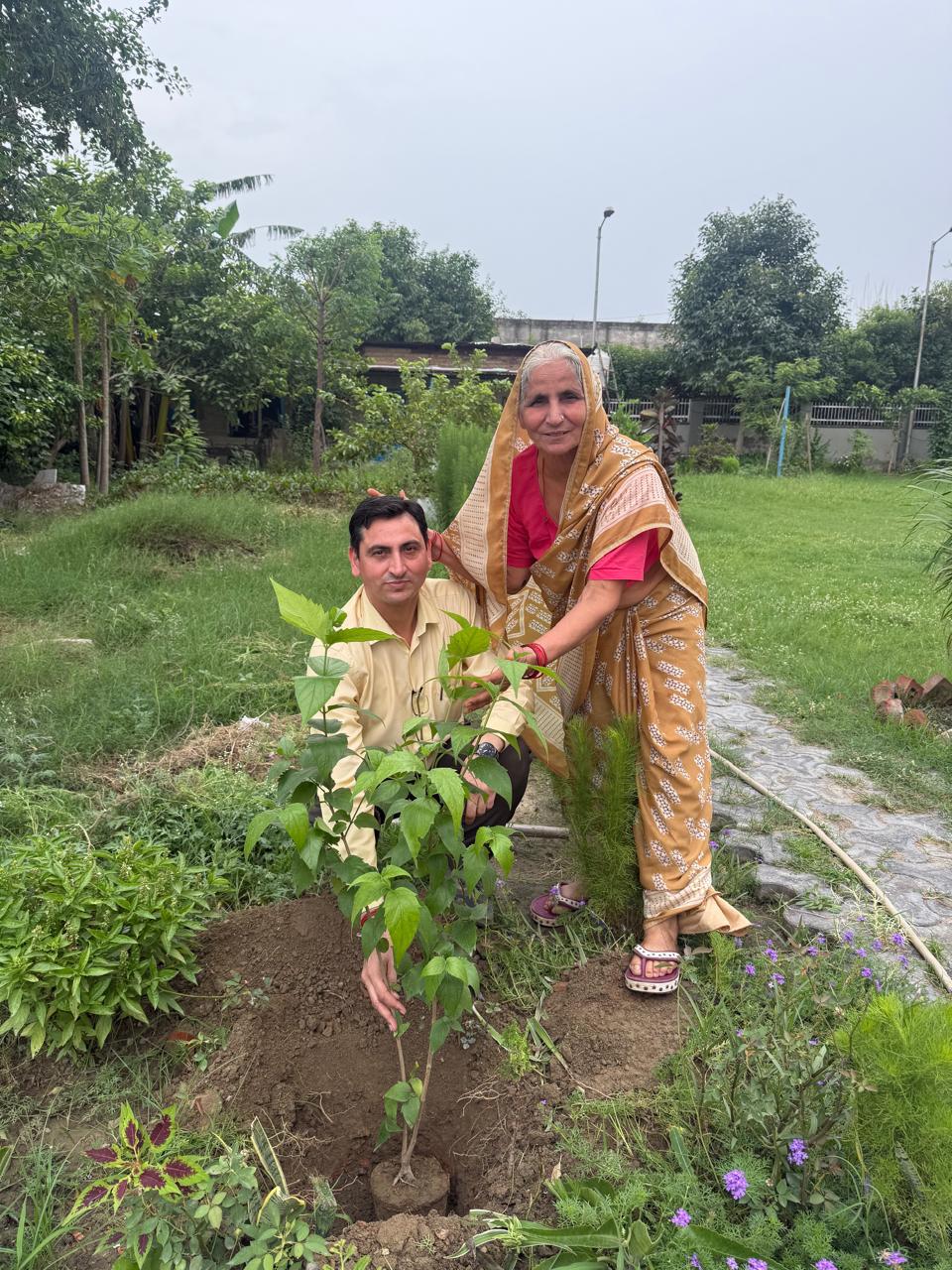 एक पेड़ माँ के नाम