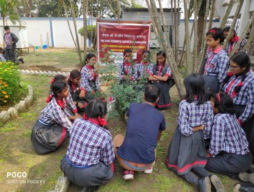 HANDS ON SKILL GARDENING WORKSHOP