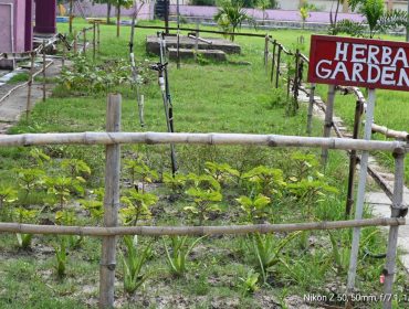 HERBAL GARDEN IN THE VIDYALAYA PREMISE