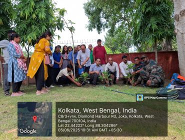 Tree Plantation Campaign