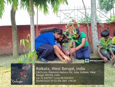 Planting trees